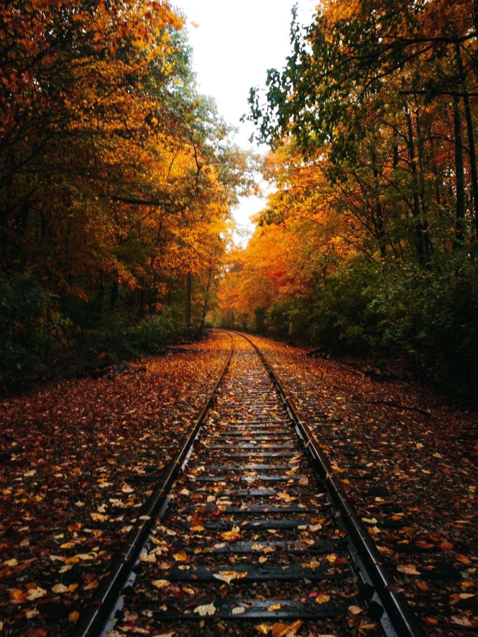 A Local's Guide on the Best Fall Things to Do in Indiana