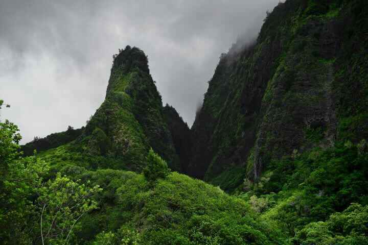 The view of the Iao Needle at the Iao Valley State Monument with dark green moss and vegetation and misty air surrounding it.