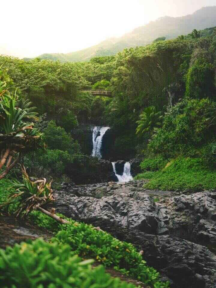 The view of the Seven Sacred Pools or Pools of Ohe'o in Maui with the view of small waterfalls into pools surrounded by dense greenery.