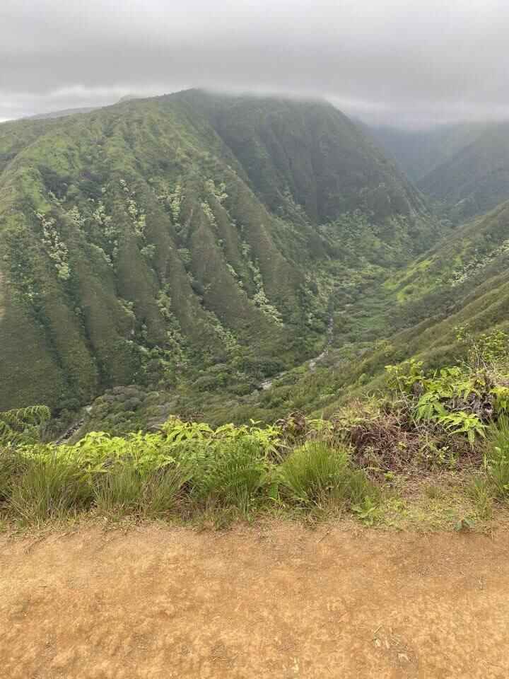 The view from Waihe'e Ridge Trail of lush greenery and West Maui mountains making it a popular hike in Maui.