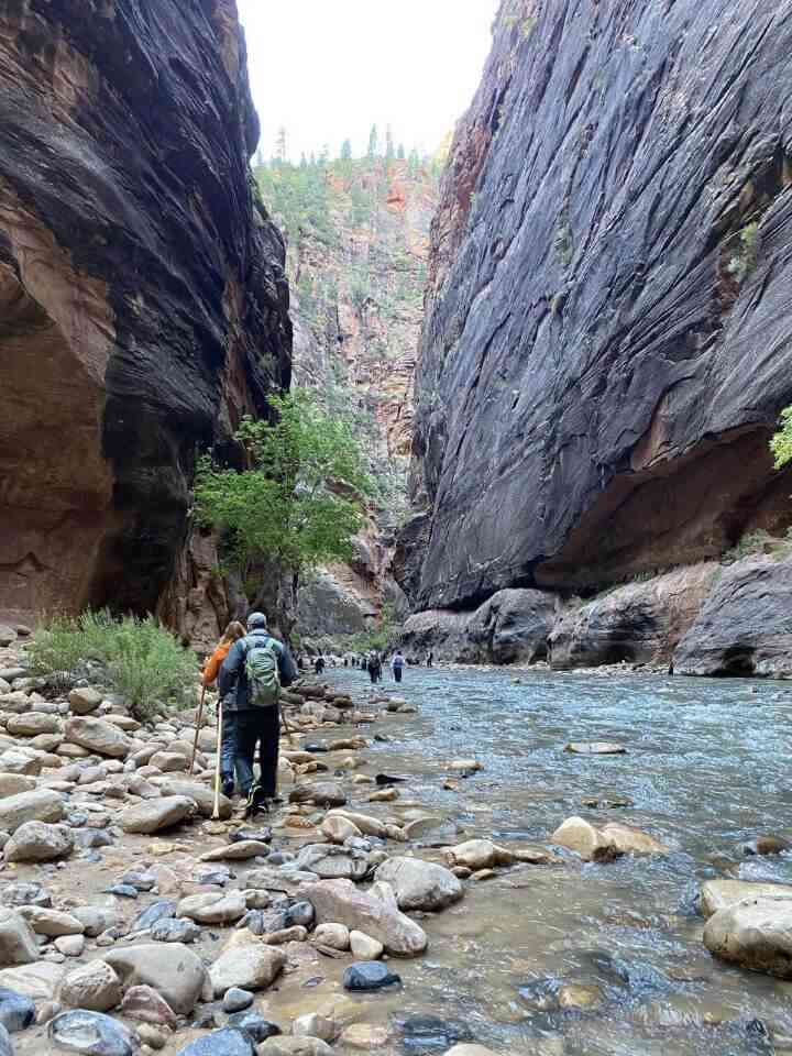 The beginning of the Narrows Hike in Zion National Park where you travel through the Virgin River as you can see hikers with their poles to help them wade through the water and rocky floor surrounded by tall canyon walls.