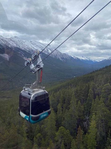 The views of the stunning mountain range in the distance surrounded by green fir trees you see while riding the Banff Gondola up to the top which is a popular thing to do in Banff during the summer.
