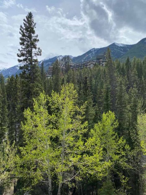 The view of Fairmont Banff Springs in the distance with its unique castle-like architecture surrounded by the mountains and tall green fir trees.
