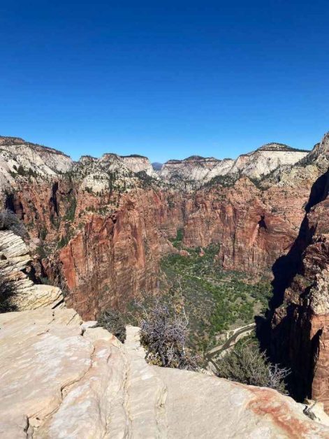 The view of Zion Canyon and the surrounding red rock canyon walls and green vegetation that you see from the Angels Landing summit.