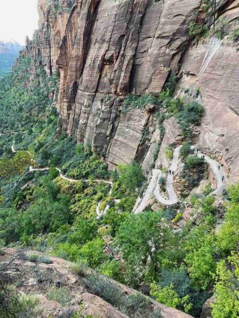 The view of the Walters Wiggles switchbacks that go up the side of the canyon leading you to Scouts Lookout and then the chains section of Angels Landing.
