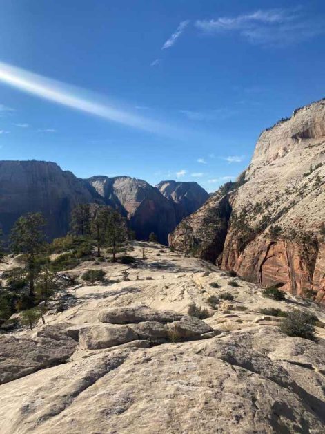 The views of Zion Canyon that you see from the West Rim trail which you can easily walk to from Scouts Lookout and Angels Landing.