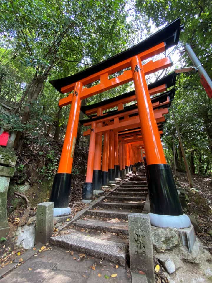 A close up view of the red torii gates at Fushimi Inari Taisha which is a popular hike in Kyoto.