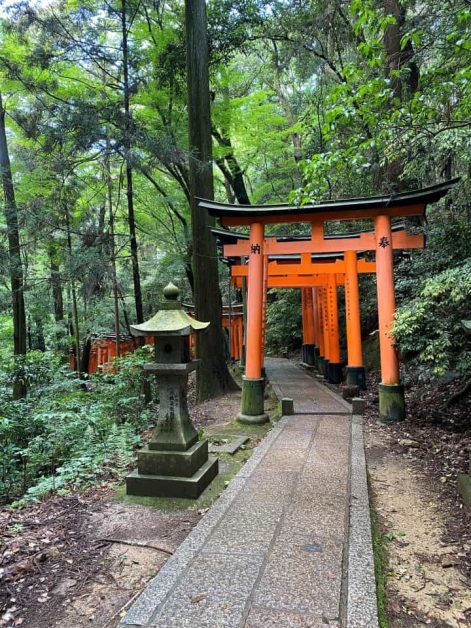 A stone path lined with the red torii gates surrounded by green trees as you make your way to the top of Fushimi Inari Taisha which is a must add to your 4-day Kyoto itinerary.