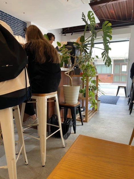 The inside of Weekenders coffee shop in Kyoto with its barstool seating and large plants around the shop making for a cozy feel.