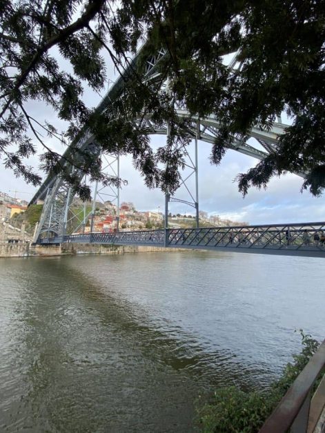 Dom Luís I Bridge spans over the Douro river, framed by leafy branches. In the background, colorful buildings in Porto create a picturesque scene.