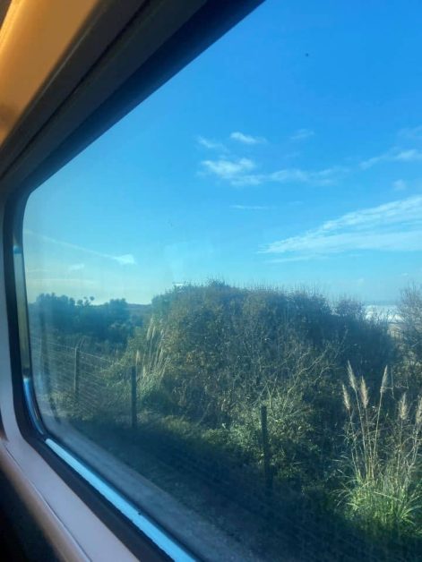 The view from the window on board the train from Lisbon to Porto as a day trip showing a clear blue sky and lush green bushes by a fence.
