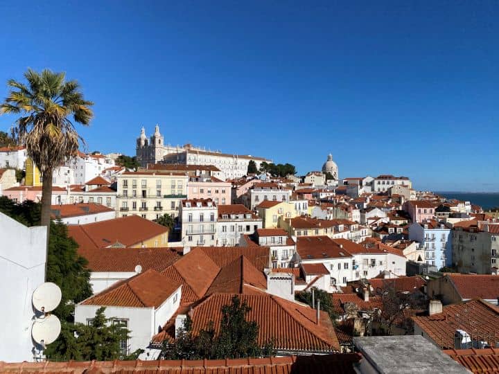 The views from Miradouro de Santa Luzia in Alfama featuring a palm tree, terracotta-colored roofs, and the ocean in the distance.