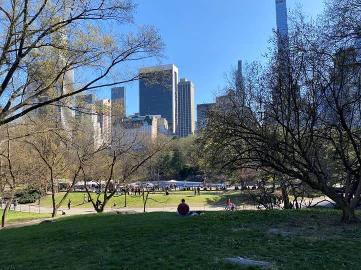 The view of NYC skyline while being inside of Central Park near Midtown in Manhattan.