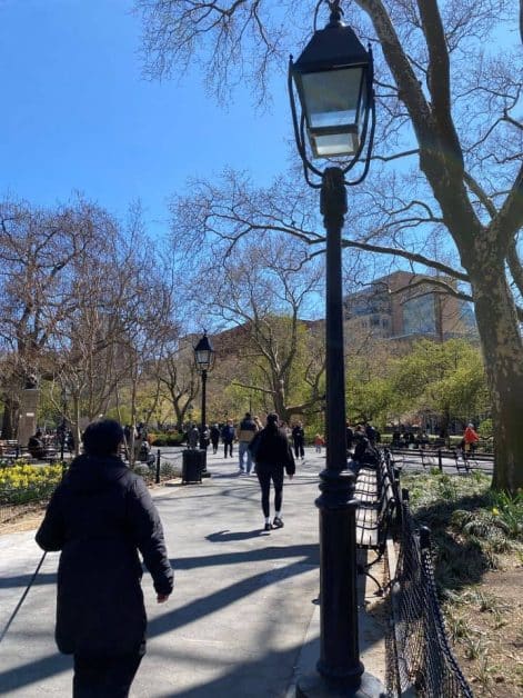 The trees surrounding Washington Square Park making it a pretty place to walk while in Soho near NYU.