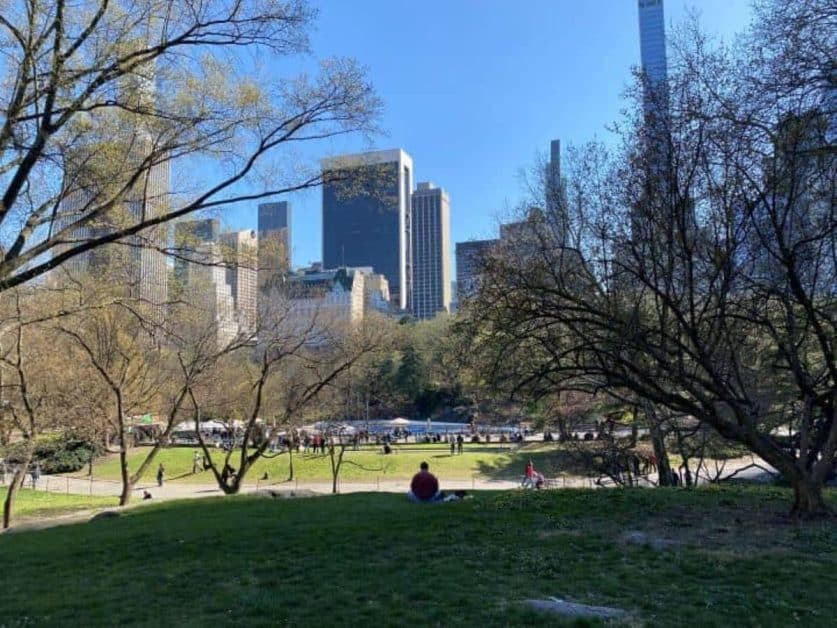 The view of the NYC skyline while sitting inside Central Park on the grass near the large rocks.