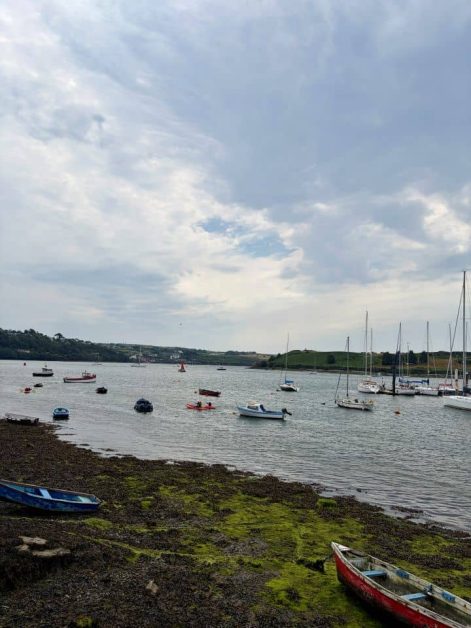A wide harbor view with small boats and sailboats moored on calm water, green algae-covered shoreline in the foreground, under a cloudy sky.