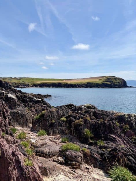 Rocky, moss-dotted coastline overlooking a calm blue bay with green farmland headland in the distance, under a bright sky.