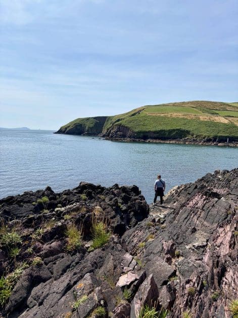 A person standing on rugged rocky cliffs overlooking a calm bay, with green farmland hills curving along the coastline.