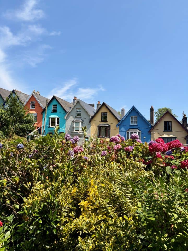 A row of terraced houses painted in orange, teal, gray, yellow, and blue, viewed over a bed of colorful hydrangeas.